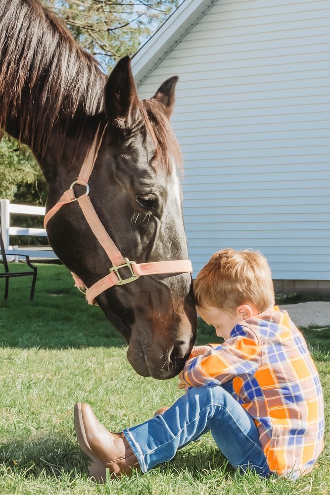 Starz Equestrian Center - equestrian in White Lake, MI