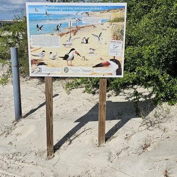 Amelia Island State Park - Parks Near Me - Jacksonville, Florida Amelia Island State Park - Parks Near Me - Jacksonville, Florida