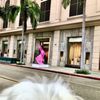 Rodeo Drive gift card