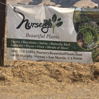 Nursery Beautiful Plants - Follow the sign! - Nurseries & Gardening Near Me - San Martin, California Nursery Beautiful Plants - Follow the sign! - Nurseries & Gardening Near Me - San Martin, California