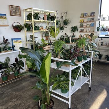 Forage Coffee - Coffee & Tea Near Me - Medford, Oregon
