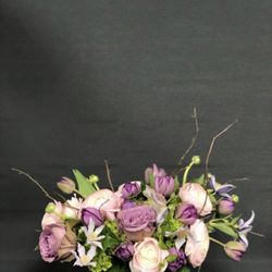 Blooming Flowers - Purple and pinks