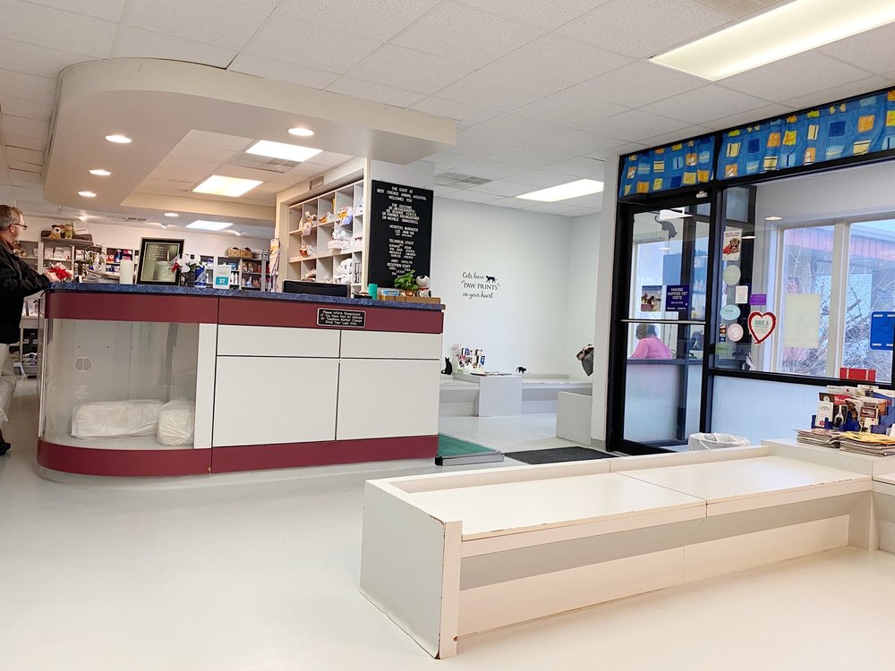 BEST FRIENDS ANIMAL HOSPITAL Updated July 2024 17 Photos & 18