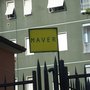 Photo of Maver
