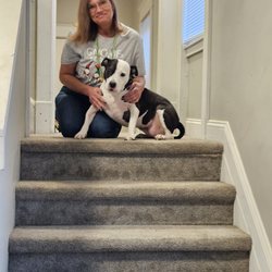 Mobile Vet Care Indiana - Kema Louise
