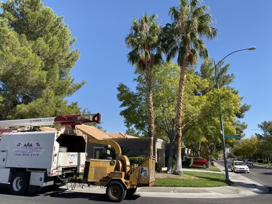 Tree Trimming - Are you in need of professional tree care services? Look no further! I'm here to provide you with top-notch tree care and maintenance. Call or text now for a free estimate! (702) 858-2774