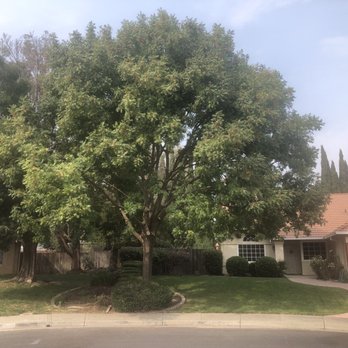 Valley Falls Tree Care - After - Tree Services Near Me Valley Falls Tree Care - After - Tree Services Near Me
