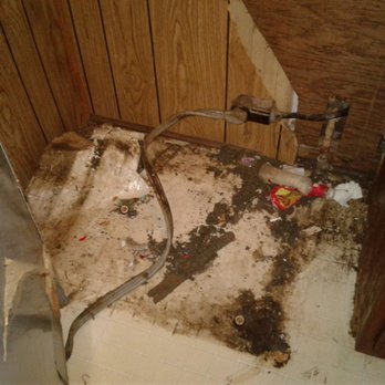 Hamill Rentals - Mouse poop. All mouse poop. ALL MOUSE POOP - Apartments Near Me - Lawrence, Kansas