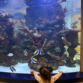 Ocean Casino Resort - Resorts Near Me - Atlantic City, New Jersey Ocean Casino Resort - Resorts Near Me - Atlantic City, New Jersey