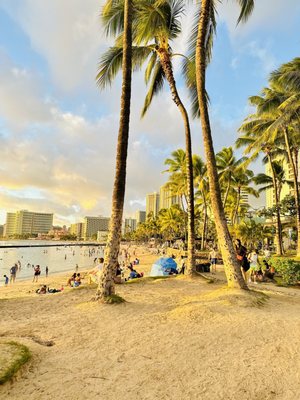Waikīkī Beach by null