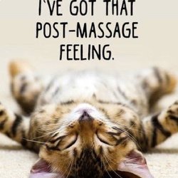 Harmony Local Massage