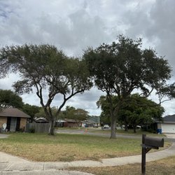 Tree Trimming Services