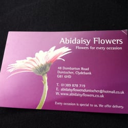 Abidaisy flowers