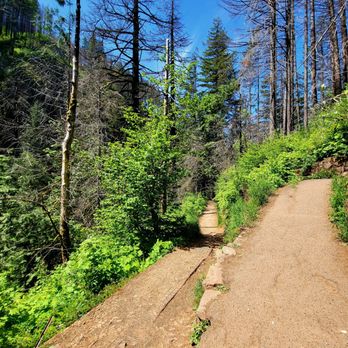 Multnomah Falls - Getting close to top, last switchback - Hiking Near Me - Bridal Veil, Oregon Multnomah Falls - Getting close to top, last switchback - Hiking Near Me - Bridal Veil, Oregon