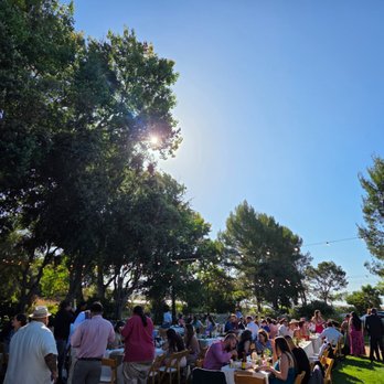 Bay Area Event Lights - Party Equipment Rentals Near Me - Campbell, California