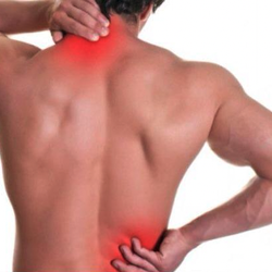 The Wellness Clinic Healing Arts