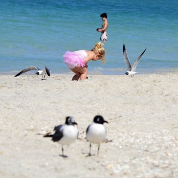Gulfside Beach Club - Lots for little ones to enjoy - Resorts Near Me - Nokomis, Florida