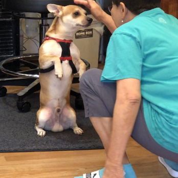 Princess Nails - Starbuck & Tina. Starbuck is such a good boy! - Nail Salons Near Me - Honolulu, Hawaii
