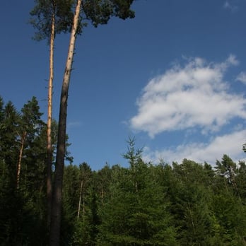 Kindererlebnisweg - Kids Activities Near Me - Mistelgau, BY