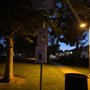 Photo of Vista Park