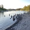 Lower Sandy River Float gift card