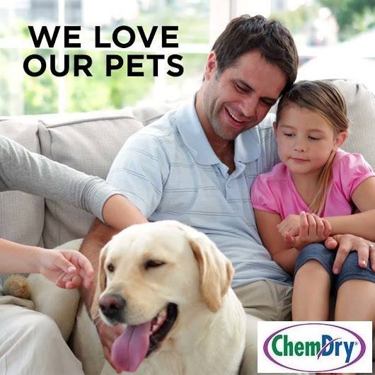 CHEMDRY BY EDWARD 35 Photos 180 Windhurst Drive, Barrhaven, Ontario