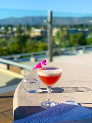 Sky & Vine Rooftop Bar by null