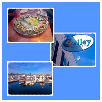Galley Kitchen & Bar - Great time at Galley!! Love this restaurant!! - Tapas/Small Plates Near Me - Scituate, Massachusetts
