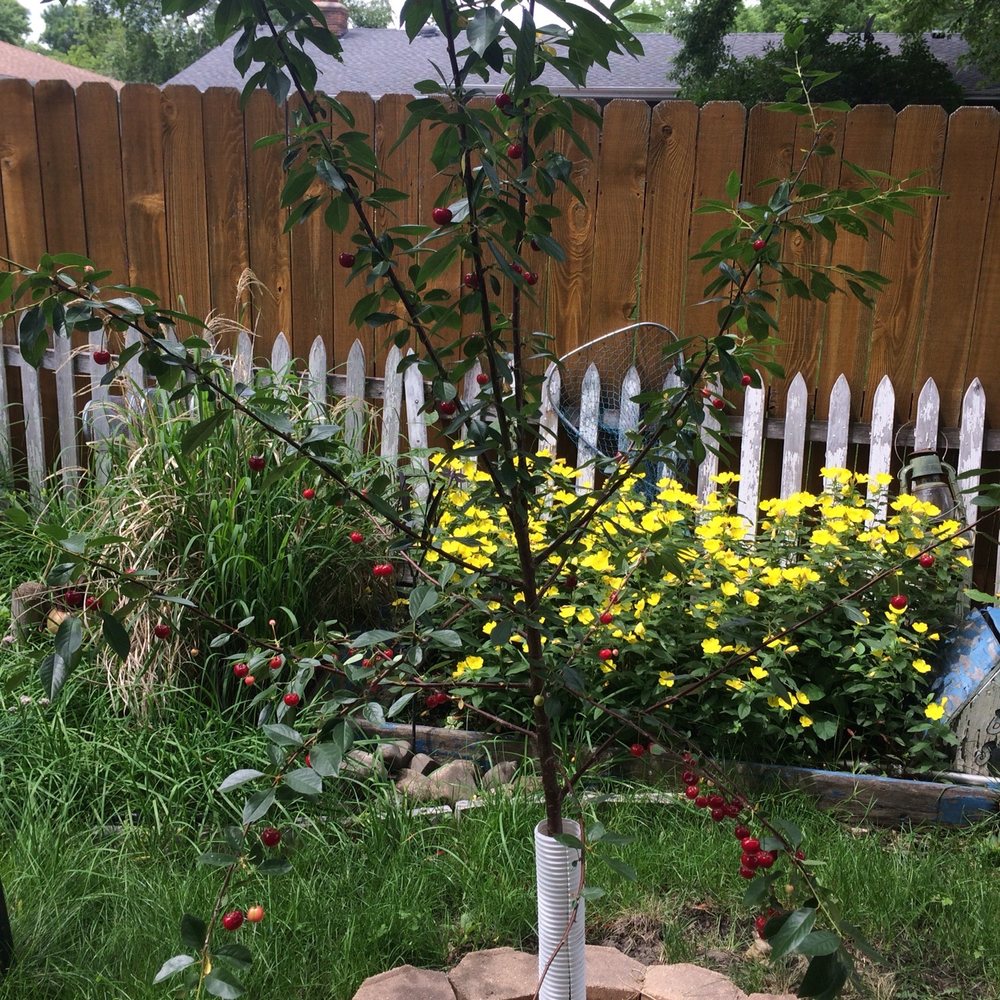 Mickman Brothers - Nurseries & Gardening Near Me - Ham Lake, Minnesota