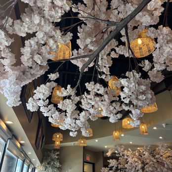 Pho Anh Vu - Vietnamese Near Me - Toronto, Ontario Pho Anh Vu - Vietnamese Near Me - Toronto, Ontario
