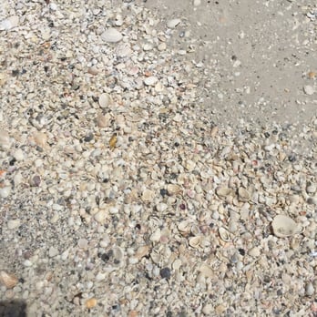 Tigertail Beach - Shells! - Beaches Near Me - Marco Island, Florida Tigertail Beach - Shells! - Beaches Near Me - Marco Island, Florida