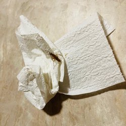 Economy Inn - The roach in the bathroom