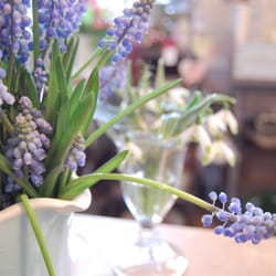 blütenreich Blumen in Havelhöhe