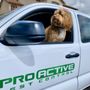 Photo of Pro Active Pest Control