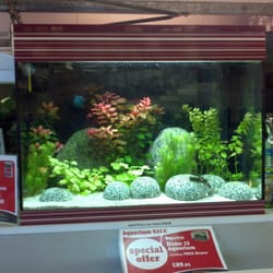Maidenhead Aquatics
