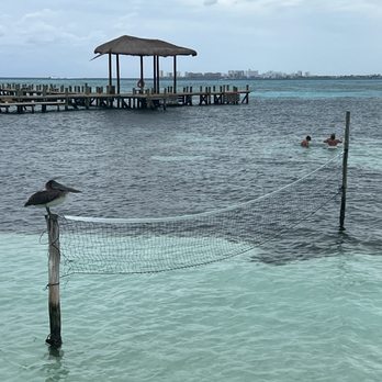 Kin Ha - Mexican Near Me - Isla Mujeres, ROO
