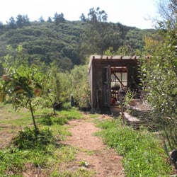 Two Rock Ranch - The green house and potting shed on the property
