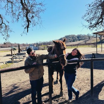 Central Coast Trailrides - Cashewwwww - Horseback Riding Near Me Central Coast Trailrides - Cashewwwww - Horseback Riding Near Me