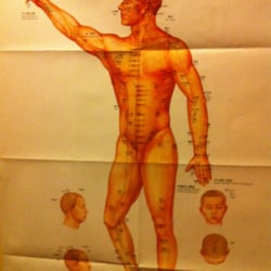 Acu-Chiro Clinic - Map of acupuncture points