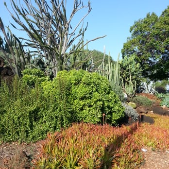 KCC Cactus Garden - Botanical Gardens Near Me - Honolulu, Hawaii
