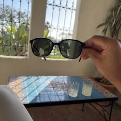 Sunglass Gallery - Ray bans