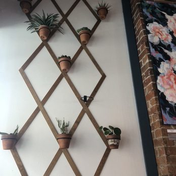 Story and Soil Coffee - Love the plants - Coffee & Tea Near Me - Hartford, Connecticut