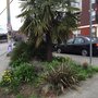 Photo of Four Car Park