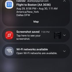 American Airlines