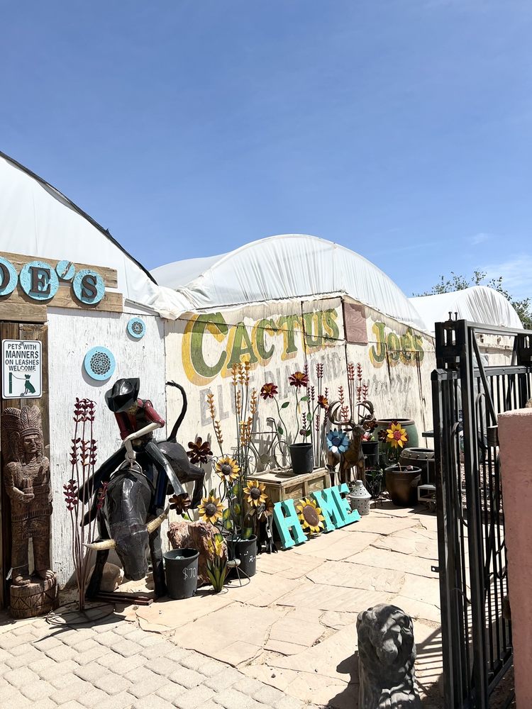 CACTUS JOE’S BLUE DIAMOND NURSERY Updated August 2024 854 Photos