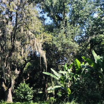 Bramble Creek Farms - Pick Your Own Farms Near Me - Brooksville, Florida Bramble Creek Farms - Pick Your Own Farms Near Me - Brooksville, Florida
