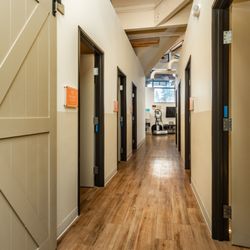 Rise Modern Wellness