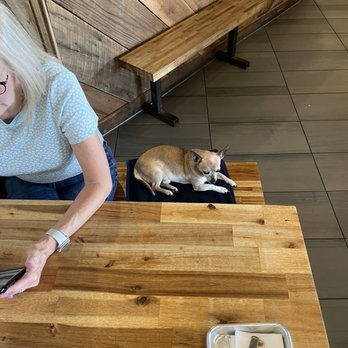 TennFold Brewing - Dog friendly - Pizza Near Me - Nashville, Tennessee