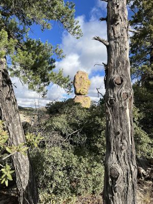 Chiricahua National Monument by null