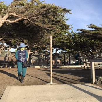 Shamel Park - Parks Near Me - Cambria, California Shamel Park - Parks Near Me - Cambria, California